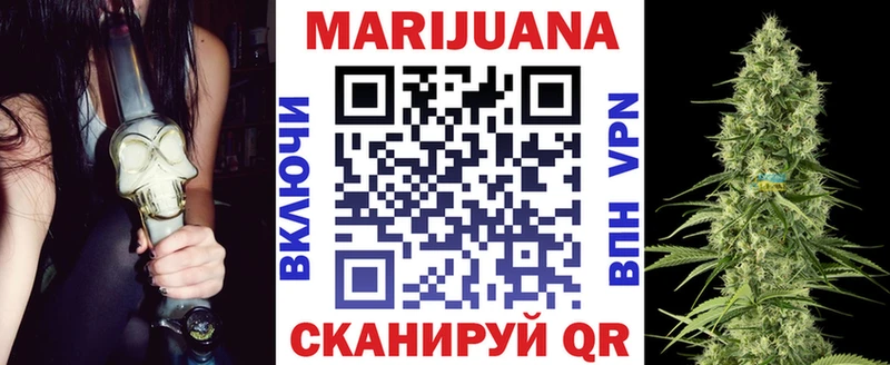 где найти наркотики  Элиста  Бошки Шишки планчик 